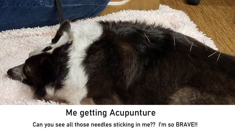 Acupunture